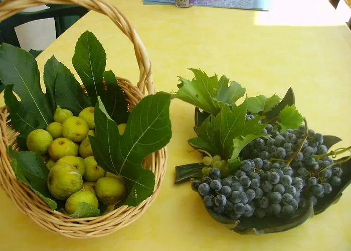 Braut * Kornić