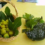 Braut * Kornić