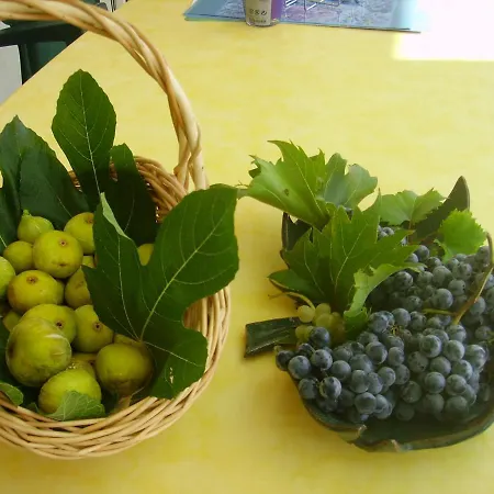 Braut * Kornić